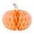 Honeycomb Decoration - Blush Pumpkin - Set of 2