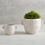 Embossed Stoneware Planter - Large