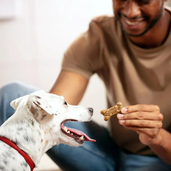 Milk-Bone Flavor Snacks Small Dog Biscuits, Flavored Crunchy Dog Treats, 24 oz (1 ct)