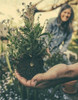Garden Tools: Top 10 Favorites that Make Your Garden Chores Easier
