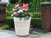 Regency Leaf Planter
