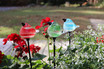 Set of 3 glass birds on 18" stakes - blue, green and red