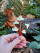 Spotted Polymer Mushrooms Set of 5 - Rust