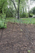 Vegetable Trellis