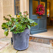 Classic Zinc Planter