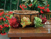 Pamela Crawford Side Planting Baskets