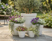 Multiple sizes of Rolled Rim planters in white
