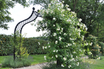 Brighton Garden Arch