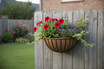 22" Wall Basket planted on fence