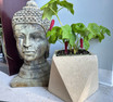 Rhea XS Fiberstone Pot in Creme planted