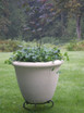 Dorset Bowl Planter