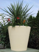Regency cast sandstone planter creme