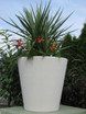 Regency cast sandstone planter limestone
