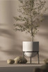 Ziva fiberstone planter in white
