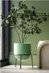 Ziva fiberstone pot in green