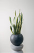 Small Artemis planter in anthracite