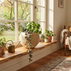 Artemis medium plant pot in window creme finish