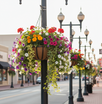 22" Heavy Duty Commercial hanging Basket in main street scene