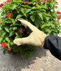 Men's Gauntlet Gardening Gloves