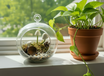 Hanging glass plant terrarium with glow-in-the-dark mushrooms