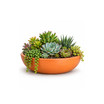 Small Garden Bowl planter filled with succulents