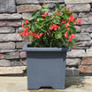 Footed Square Planter planted