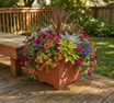 Planted Footed Square Planter on Deck