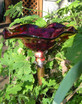 Blown Glass Butterfly Feeder Crimson Red near deck
