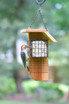 Tail Prop Suet Feeder