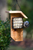 Tail Prop Suet Feeder