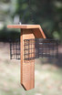 Tail Prop Suet Feeder