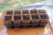 Grow Kit shown with seedlings