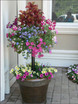 Pamela Crawford Basket Column for Large Pots