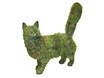 Cat Topiary Walking Mossed