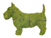 Mossed Scottie Dog Topiary