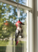Red headed woodpecker ornament in window