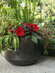 Ankara planter on patio