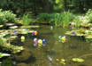 Glass pond balls in pond