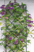 19" Wide Wall Trellis - 2 pack - diamond shape pattern