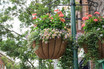 Bellus Hanging Basket