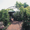 Monet Garden Arch 8 Ft Wide