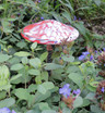 Blown Glass Mushroom Stake Blown Glass Mushroom Stake