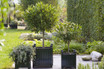 Versailles Steel Planters