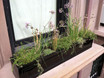 Sloane Fiberglass Planters -  Square, Troughs & Window Box