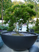 Geo Bowl fiberglass planter in faux lead