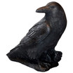 Large Black Raven statue