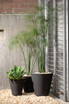 Grouping of Madison planters