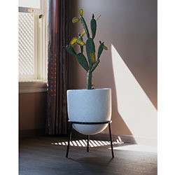 Not Your Everyday Pots & Planters