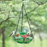 Bloom Perch Hummingbird Feeder green