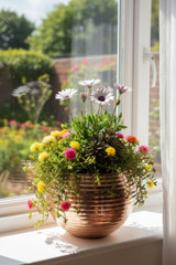Shiny Copper Sevda planter planted in window